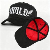 Gorra de béisbol con logotipo bordado personalizado forrado de satén para exteriores, gorra de béisbol de 5 paneles para papá, gorra de algodón Snapback