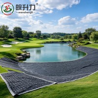 Tapis géosynthétique en argile bentonite auto-réparateur rapide et résistant aux bactéries pour la protection des fonds et des pentes des réservoirs agricoles