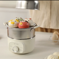 Cuiseur à œufs électrique de haute qualité à 2 étages en acier inoxydable, bouilloire rapide pour 14 œufs, cuiseur à œufs bouillis, pâte cuite à la vapeur.
