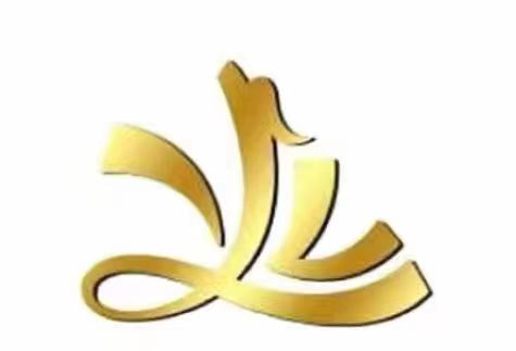 Gaoyang Leiyue Textile Weaving Co., Ltd. logo