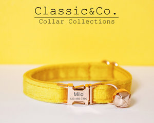 Yellow Personalized Cat Collar <b>Bow</b> <b>Tie</b> Leash Set,Custom Engraved Kitten Puppy Name Tag,Free Gold Bell,Small Dog <b>Orange</b> Male - Product Image 1