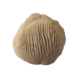 Bán buôn số lượng lớn giá tốt nhất 100% tự nhiên màu xanh lá cây đu đủ bột đu đủ Bột nước ép - Product Image 2