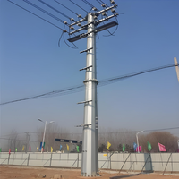 Pylône de distribution d'énergie urbaine 110 kV 220 kV - Pylône en acier au carbone galvanisé à chaud - Structure de support à haute stabilité