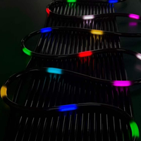 Tube néon flexible LED RGB pixel noir lumineux 360° D22, corde lumineuse néon entièrement noire pour la décoration de boîtes de nuit, DJ, mariages et événements.