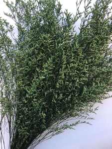 <span class=keywords><strong>Limonium</strong></span> Eterno (Hierba de San Valentín) Flor Seca Preservada 60-70cm de Yunnan para Arreglos Florales de Cumpleaños y Decoración del Hogar - Product Image 3