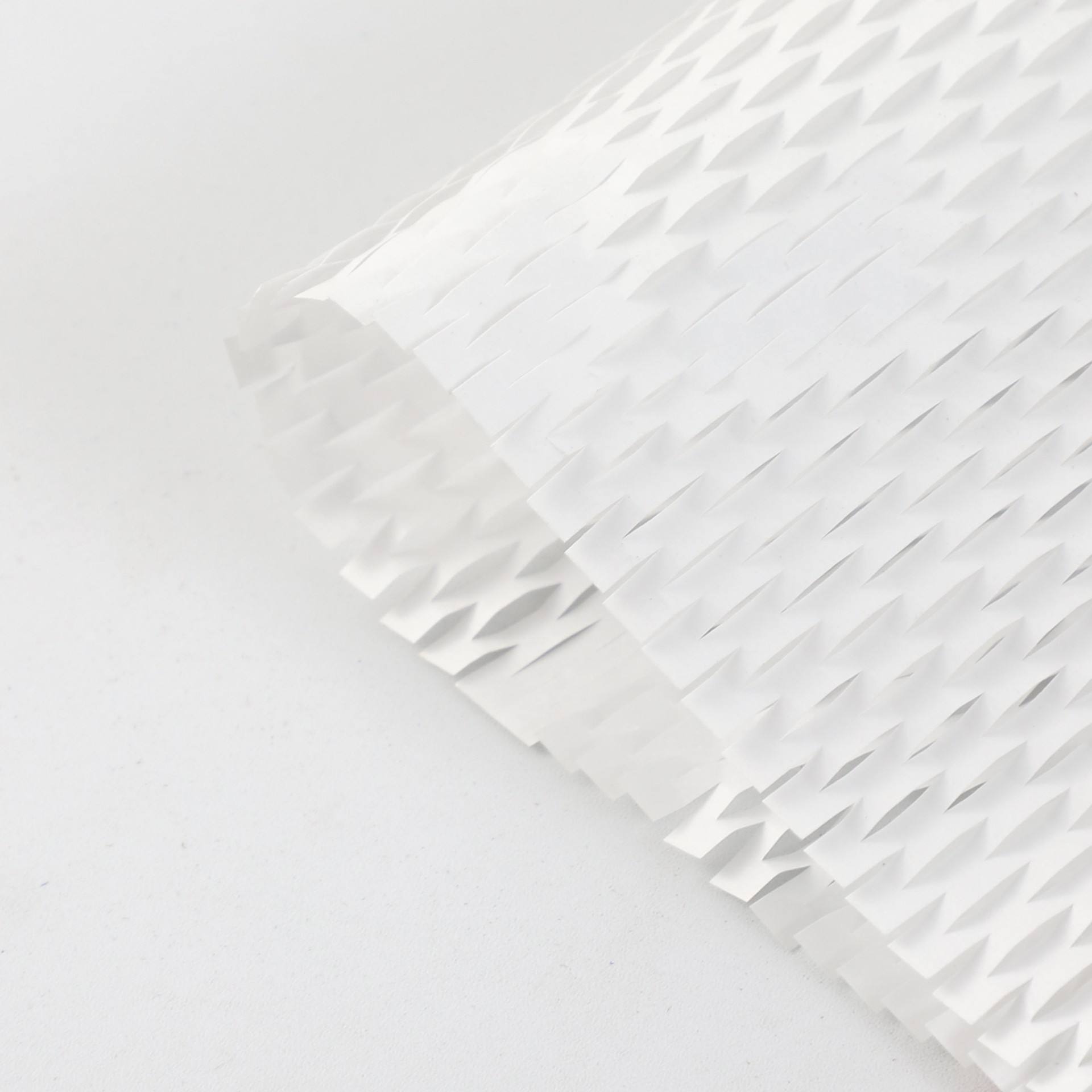 3030cm 10 feuilles blanc