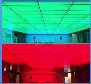 Panneau de rétroéclairage acrylique étanche ODM LGP Clarity personnalisé pour éclairage extérieur commercial RGB, décoration néon Rina Tech - Product Image 5