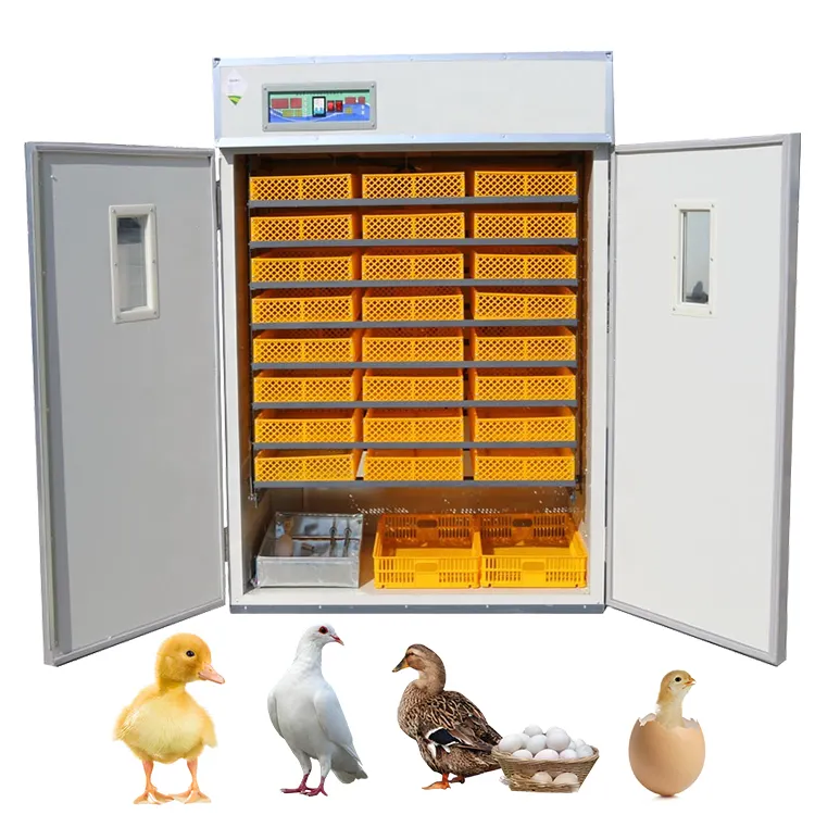 Incubadora automática de huevos TKA, máquina de incubar huevos