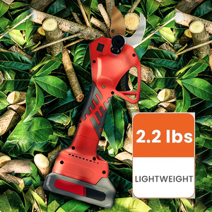 Forbici Elettriche Professionali per <span class=keywords><strong>Potatura</strong></span> Alberi Bison Garden Tools, Cesoie Elettriche per <span class=keywords><strong>Potatura</strong></span>, Forbici per Meli - Product Image 1