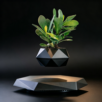Maceta Flotante Magnética Moderna para Decoración de Escritorio, Regalo Tecnológico para Plantas