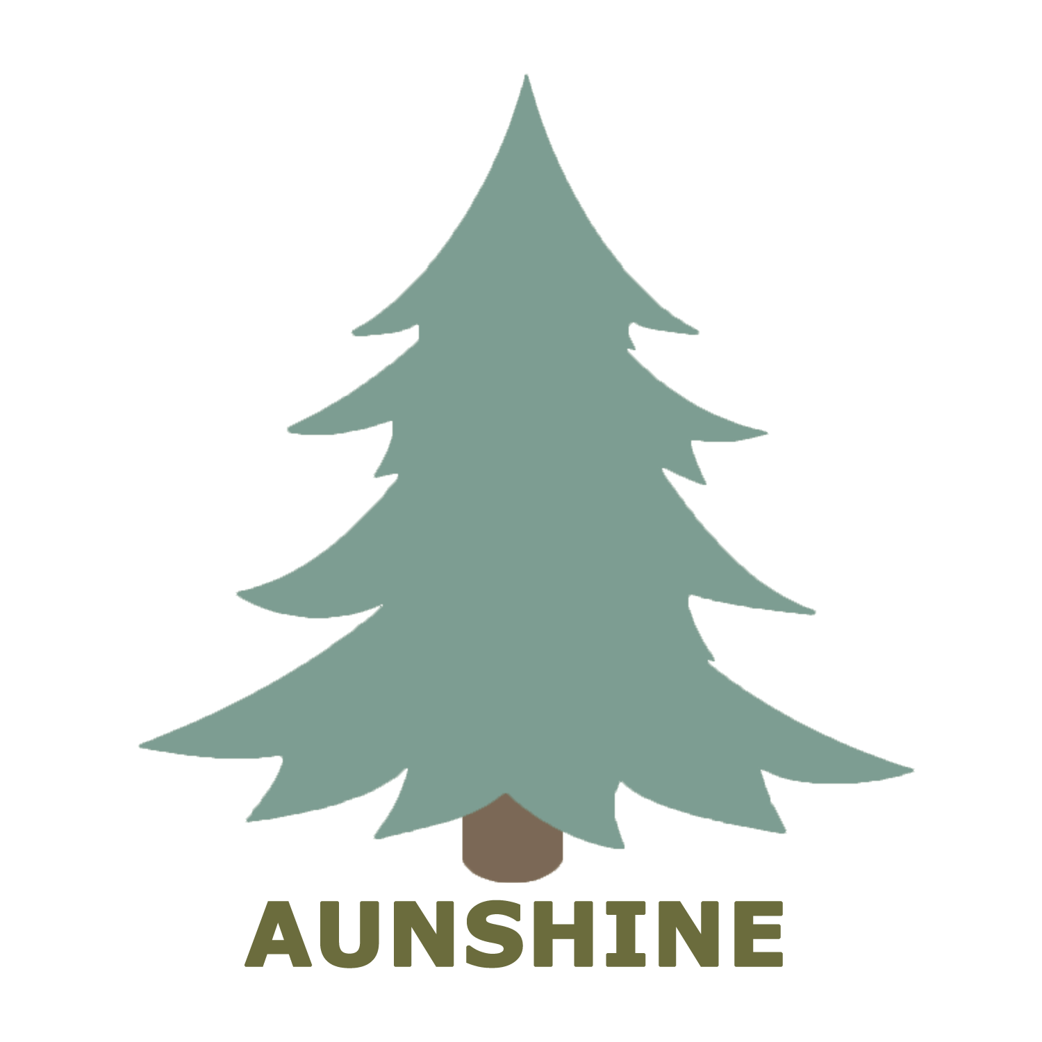 Qingdao Aunshine Technology Co., Ltd. logo