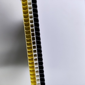 Pp Polypropyleen Holle Plaat 2Mm 3Mm 4Mm 5Mm 6Mm 8Mm 10Mm 12Mm Pp Golfplaat - Product Image 4