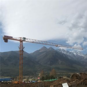 Grúa Torre Usada Premium de 8 Toneladas de Capacidad de Carga, Excelente Estado, 6015-8a - Product Image 2