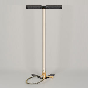 AISUKY <span class=keywords><strong>Bouteille</strong></span> d'air de plongée sous-marine en acier inoxydable haute pression 300 bars 1L avec adaptateur et <span class=keywords><strong>pompe</strong></span> PCP manuelle - Product Image 1