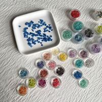 Fleur de dentelle de la reine Anne pressée naturelle tendance pour le nail art, la manucure et les loisirs créatifs