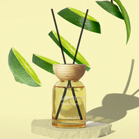 Ensemble de cadeau diffuseur de roseau de luxe bougie parfumée de parfum de maison et coffret cadeau diffuseur de roseau