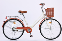 Bicicleta Cómoda NO.1