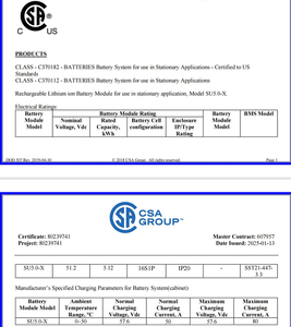 แบตเตอรี่ลิเธียม LiFePO4 คุณภาพสูง 24V 48V 100Ah พร้อมการรับรอง CSA สำหรับระบบไฮบริดพลังงานแสงอาทิตย์ - Product Image 5