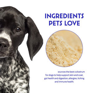 Oem/odm דשא האכלה <span class=keywords><strong>bovine</strong></span> תוספת אבקת קולוסטרום עבור כלבים-חיסונית הקלה באלרגיה לטיפול בעור לכל הגזעים - Product Image 2