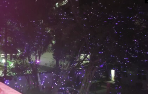 Luz láser de cielo estrellado Pro, 2w, IP65, resistente a la lluvia, rgb, luciérnaga, lámpara de decoración para fiesta de jardín - Product Image 6