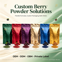 SYC BIO Power Berries Seeds Blend, mélange de graines de baies, complément alimentaire premium à base de plantes pour adultes, soutien immunitaire quotidien, 150 g, 30 portions, smoothies