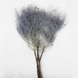 2023 Soft Dream Yunnan gros plante de fleurs séchées stabilisé préservé éternel suspendu préservé herbe de rêve préservée pour la décoration de mariage - Product Image 1