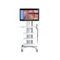 Équipement d'endoscopie chirurgicale électrique portable 4 en 1, unité de caméra endoscopique 32 pouces 4K UHD pour laparoscopie, ORL, urologie IKEDA