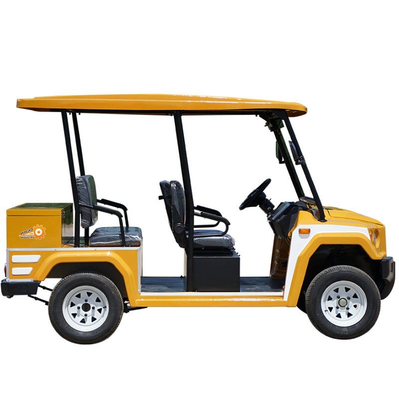 Golf Cart Custom Golf Cart Buggy