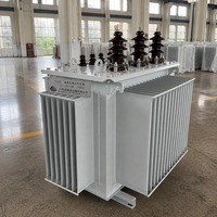 S22 Yağlı Tip Trafo Oksijensiz Bakır Sarma 30KVA - 2500KVA 3KV 11KV Alçak Gerilim 400V Enerji Tasarruflu 50Hz