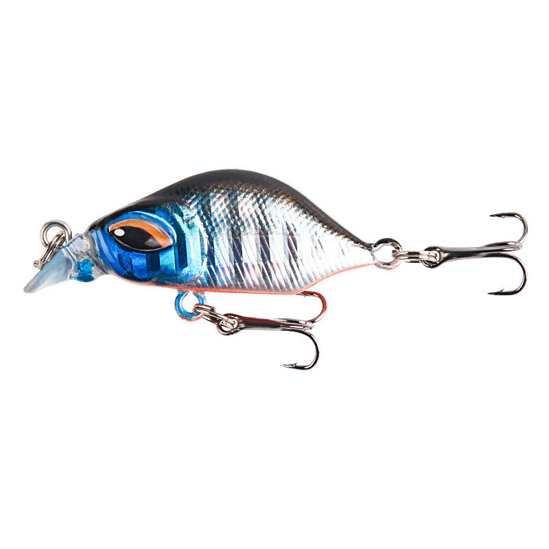 หัวน้ำเงินเงิน