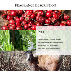 Huile de parfum UNIQUE AROMA n°3, huile de qualité la plus vendue, huile essentielle de <span class=keywords><strong>sapin</strong></span> en gros, soin du corps, du visage et de la peau, fournisseur de parfums de Dubaï - Product Image 2