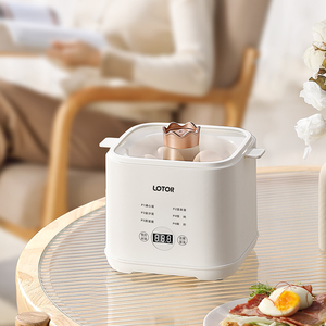 Cocina de huevos eléctrica y vaporera con carcasa de plástico - Product Image 2