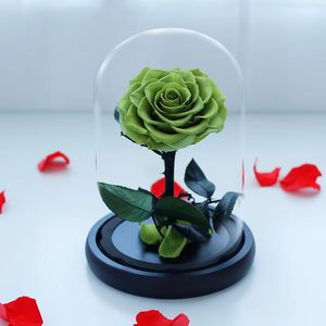 Regalo di Natale 2025: Rosa Eterna Preservata, Decorazione Floreale di Lusso Fatta a Mano, Stelo Lungo Naturale in Cupola di Vetro - Product Image 1