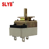 Incubateur à œufs, four à gaz, bouton en fer, plastique, 250V, thermostat capillaire chauffant, usage commercial, sûr, 30 à 100 degrés, WHD-100B