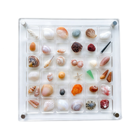 Boîte de rangement en acrylique transparent à 36 compartiments magnétiques pour spécimens de coquillages, bijoux et petits objets de collection