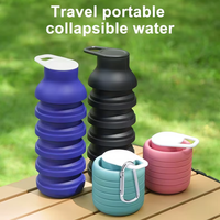 Bouteille d'eau pliable en silicone, sans BPA, portable, pour le camping, la randonnée et les sports de plein air