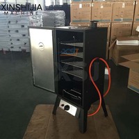 Petit barbecue à gaz pour usage commercial extérieur, familial, pour poisson, bœuf, poulet, porc, saucisses, fumoir à viande