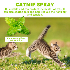 Spray à la Catnip pour chats, stimulant naturel de l'humeur ludique, 100 ml, soulagement du stress, ingrédients sûrs et comestibles - Product Image 3