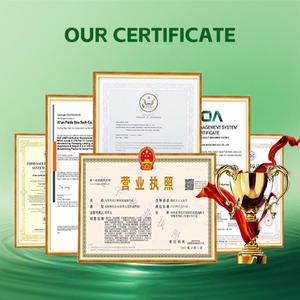 Toptan Sıcak Satış <span class=keywords><strong>Panax</strong></span> <span class=keywords><strong>Ginseng</strong></span> %80 Ginsenosidler <span class=keywords><strong>Ginseng</strong></span> Ekstresi <span class=keywords><strong>Ginseng</strong></span> Kökü Ekstresi Tozu - Product Image 3