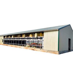 Conception moderne Structure économique en acier de type ouvert Poule de chair Poule pondeuse Poule de volaille Ferme de construction préfabriquée Hangar de construction - Product Image 4