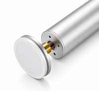 2026 OEM ODM Ponceuse électrique pour pieds rechargeable par USB avec têtes de ponçage remplaçables, Éliminateur de callosités électrique