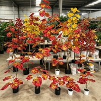 Plante Artificielle en Pot Unique Feuilles de Tortue Rouge Haute Qualité Vente en Gros Décoration Maison