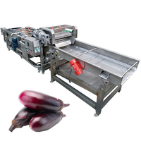 Volledig automatische kantelbare kiep-transportband met hogedrukbelletjes voor het wassen van groenten en fruit, met motor voor sojabonen en maïs