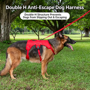 Correa de Tracción para Perros al por Mayor, Arnés de Pecho Antiescape para Perros Pequeños, Medianos y Grandes, para Paseos al Aire Libre - Product Image 4