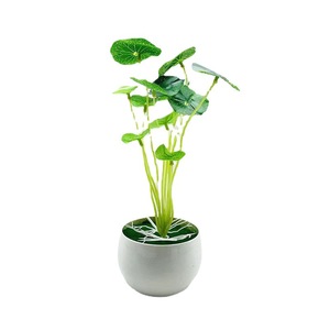 Planta Artificial de Hoja de Loto Qi Xing, 24 cm, Mini Planta en Maceta de Plástico, Adorno Verde para Escritorio - Product Image 5