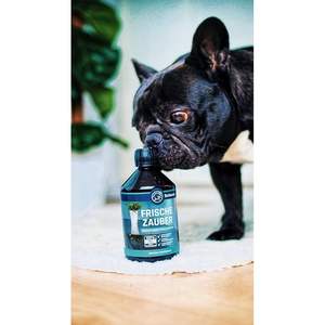 Premium Industrial <b>Proximity</b> <b>Sensor</b> - Advanced 10-30V DC - IP67 Rated for Harsh Environment Monitoring - Product Image 2