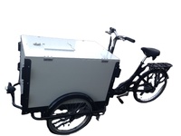 Offre Spéciale crème glacée vélo à vitesse unique vélo/vélo/cycle/trois roues vélo pour adultes/vélo tricycle UB 9027BW