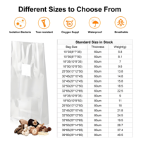 Sacs de culture de champignons en plastique transparent, autoclavables, en polypropylène avec patch filtrant rond, en stock, directement de l'usine, pour les cultivateurs