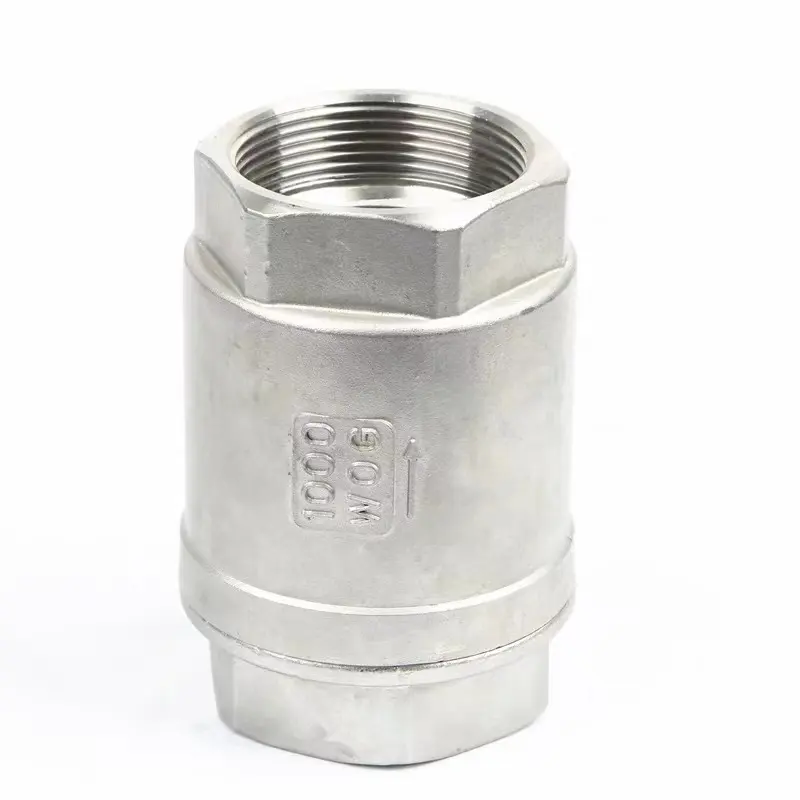 WZ Stainless steel 304 316 Female thredaed Vertical check valve H12 CHECK VALVE