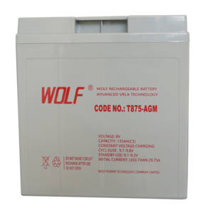 8V 170Ah 트로이 <span class=keywords><strong>T</strong></span>-<span class=keywords><strong>875</strong></span> 골프 카트 AGM 배터리 납산 배터리 - Product Image 4